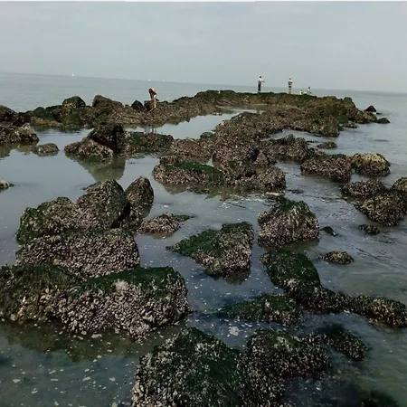 Near Rubensplein Apartman